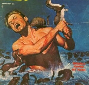 mad_weasel